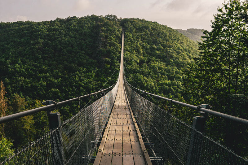 Hängebrücke über dem Dschungel