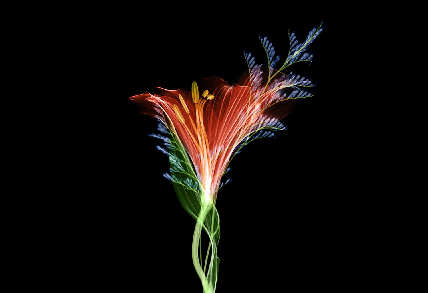 Animierte Blume in Bewegung