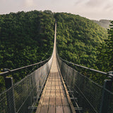 Hängebrücke über dem Dschungel