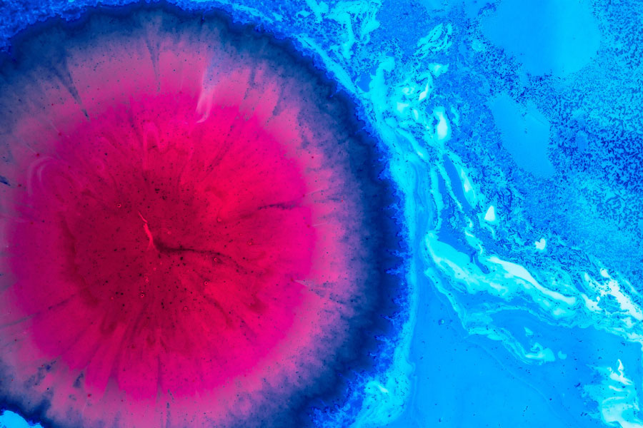 Pinke und blaue Flüssigkeiten unter dem Reagenzglas
