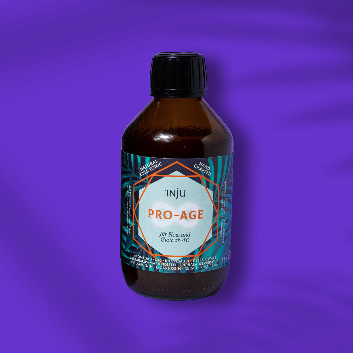 4-Seasons-Abo