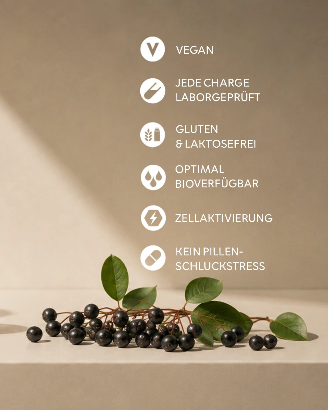Liste von Produkteigenschaften von INJU PRO-AGE mit Icons: Vegan, jede charge Laborgeprüft, gluten- und laktosefrei, optimale Bioverfügbarkeit,  Zellaktivierung und kein Pillen-Schluckstress. Im unteren Teil des Bildes sind mehrere dunkle Aroniabeeren an Zweigen mit grünen Blättern.